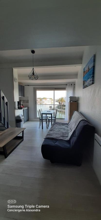 Vue Magique Sur La Marina - Appart En Duplex, Les Pieds Dans L'Eau Saint-Cyprien  Eksteriør bilde