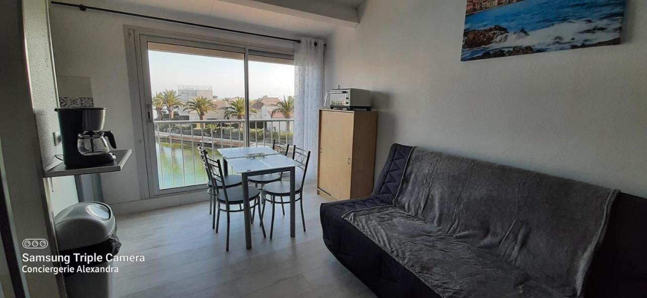 Vue Magique Sur La Marina - Appart En Duplex, Les Pieds Dans L'Eau Saint-Cyprien  Eksteriør bilde