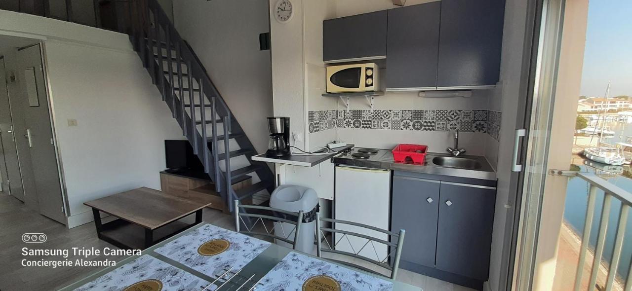 Vue Magique Sur La Marina - Appart En Duplex, Les Pieds Dans L'Eau Saint-Cyprien  Eksteriør bilde